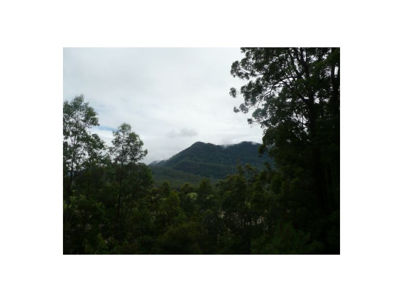 2481 Waterfall Way, Bellingen NSW 2454