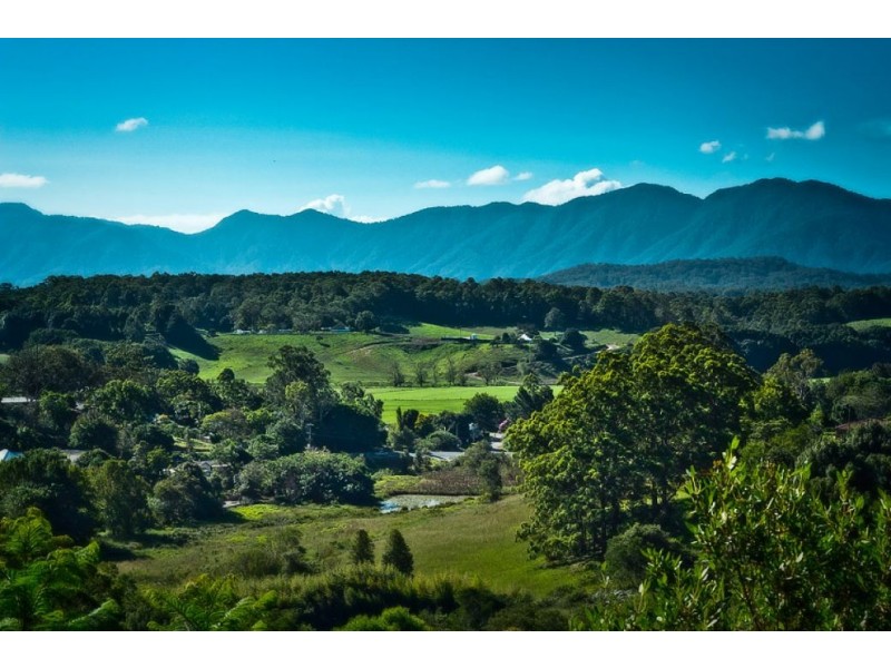 19 Henry Boultwood Dr, FERNMOUNT, Bellingen NSW 2454