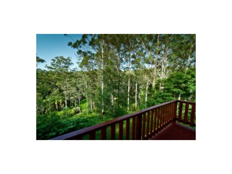61 Scotchman Rd, Bellingen NSW 2454