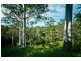 61 Scotchman Rd, Bellingen NSW 2454