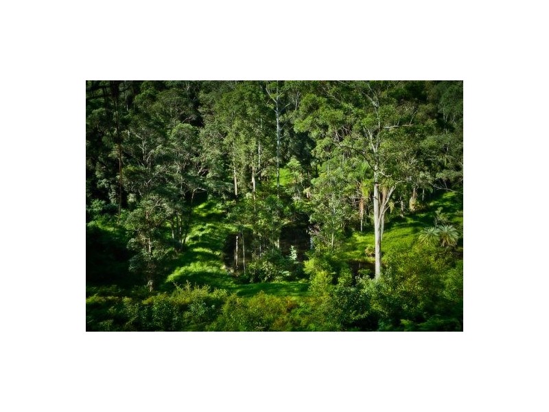 61 Scotchman Rd, Bellingen NSW 2454