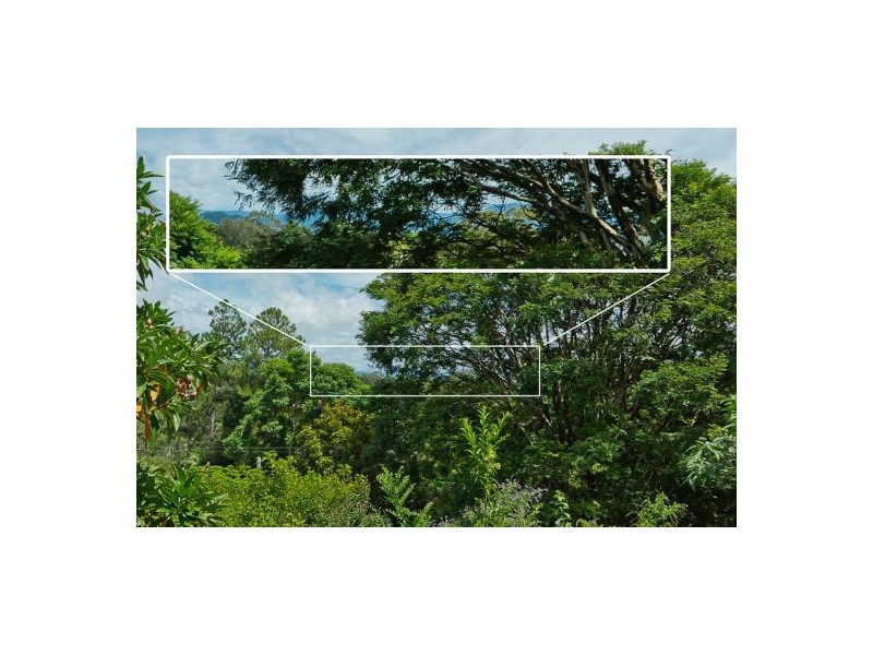 33 Lyon St, Bellingen NSW 2454