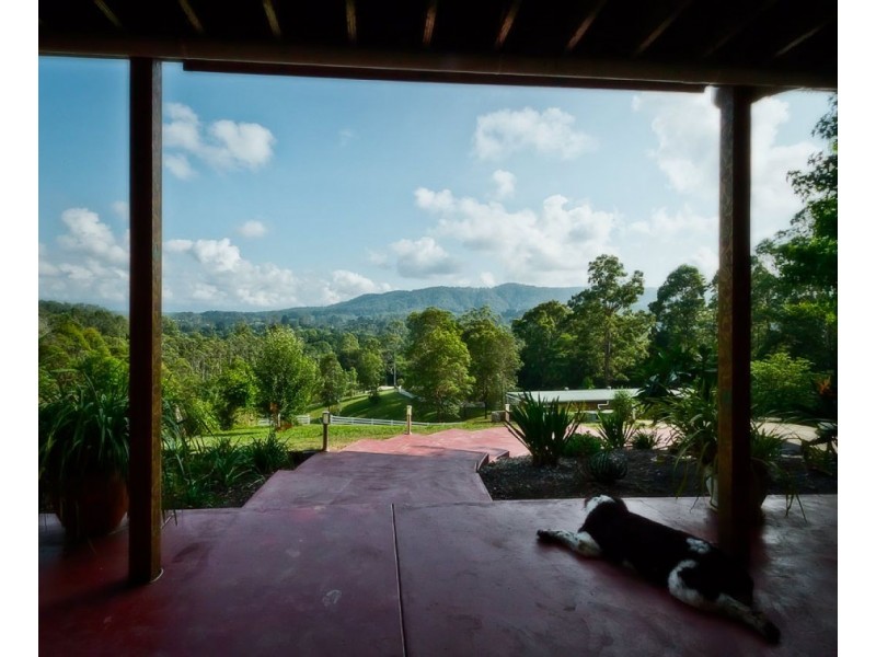 Bellingen NSW 2454
