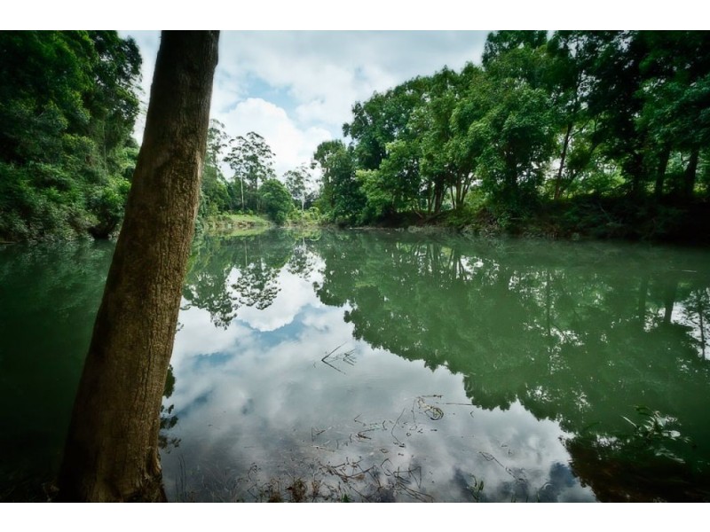Bellingen NSW 2454