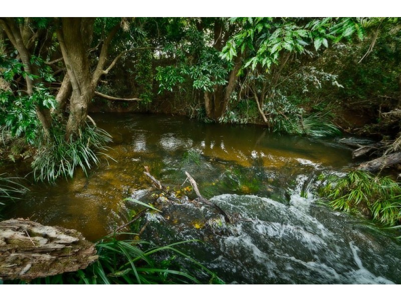Bellingen NSW 2454