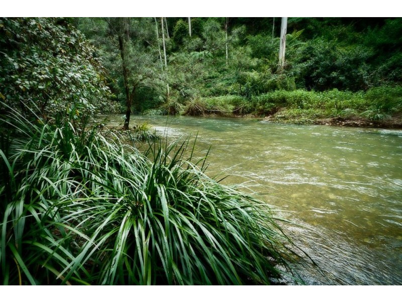 2012 Kalang Rd, KALANG, Bellingen NSW 2454
