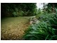 2012 Kalang Rd, KALANG, Bellingen NSW 2454