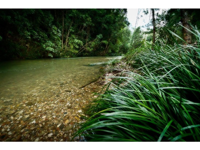 2012 Kalang Rd, KALANG, Bellingen NSW 2454