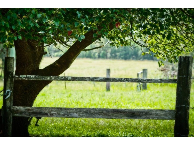 49 Riverside Dr, Urunga NSW 2455