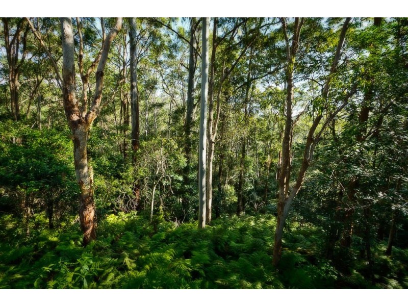 16 Mount St, FERNMOUNT, Bellingen NSW 2454