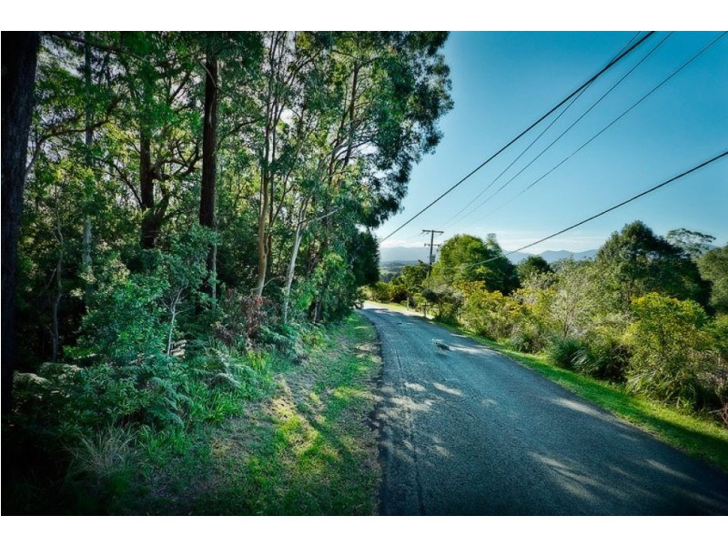 16 Mount St, FERNMOUNT, Bellingen NSW 2454