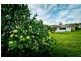 35 Myrtle St, Dorrigo NSW 2453