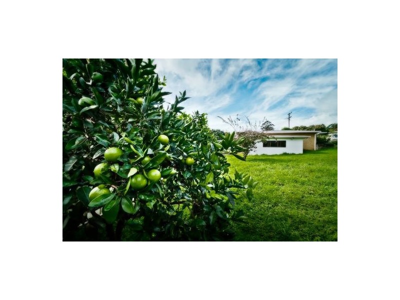 35 Myrtle St, Dorrigo NSW 2453