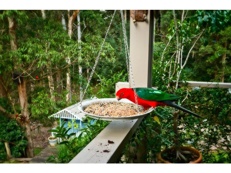 30 Elk Ave, Repton NSW 2454