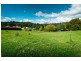 6 Gum Drive, Dorrigo NSW 2453