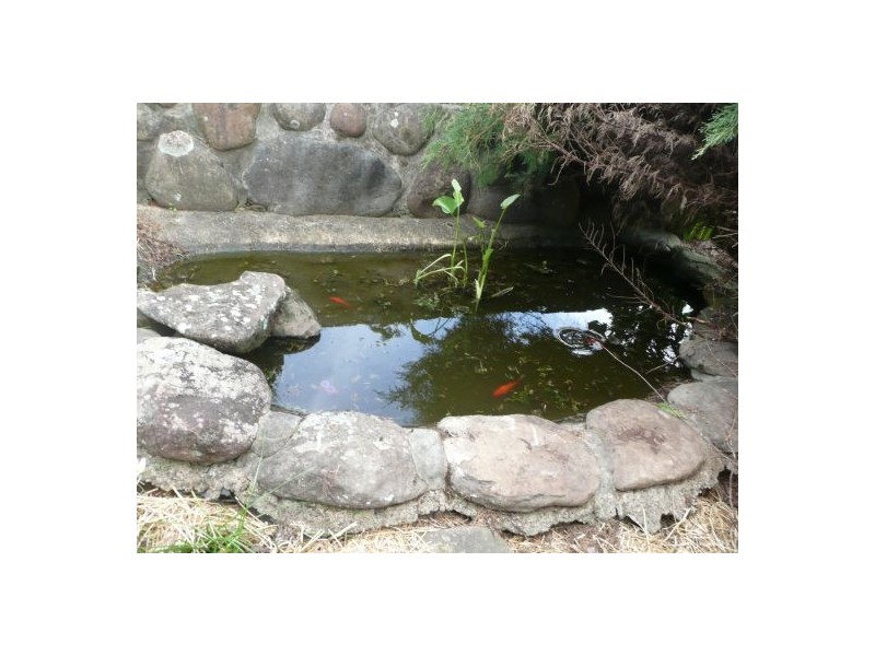 14 Gatenby Street, Dorrigo NSW 2453