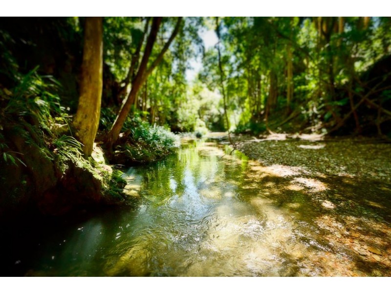 1733 Kalang Road KALANG, Bellingen NSW 2454