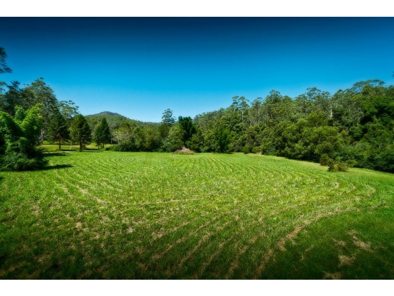 1733 Kalang Road KALANG, Bellingen NSW 2454