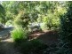 4 Cedar Court, Bellingen NSW 2454
