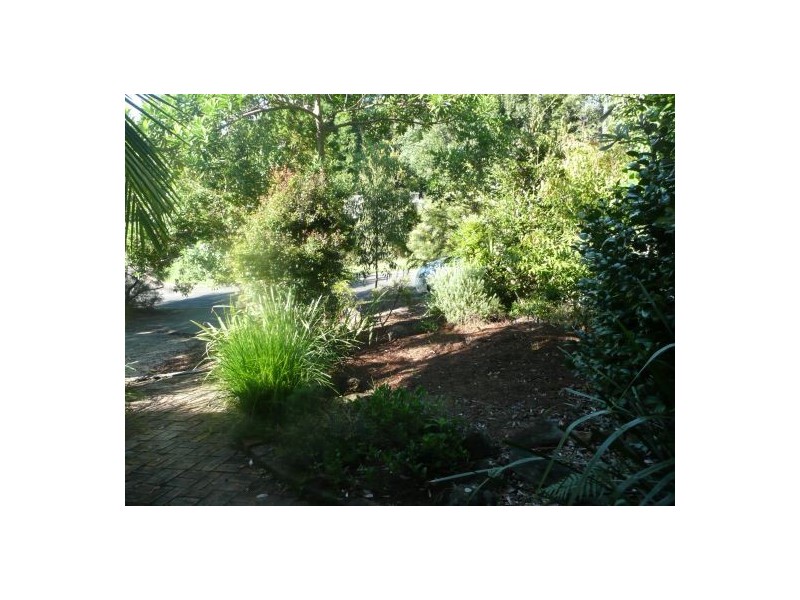 4 Cedar Court, Bellingen NSW 2454