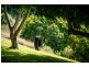 Lot 2 Boggy Creek Rd, VALLA Via, Urunga NSW 2455