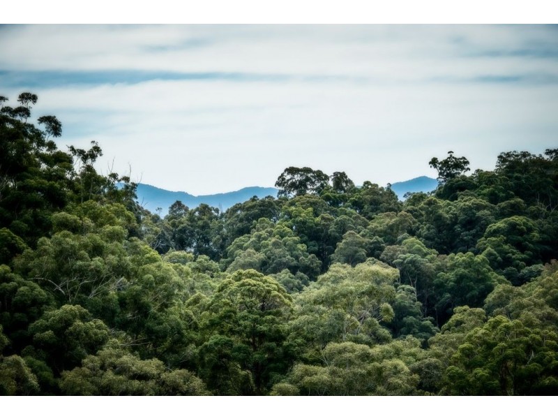 Lot 2 Boggy Creek Rd, VALLA Via, Urunga NSW 2455