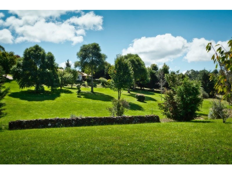 9 Elm Avenue, Dorrigo NSW 2453