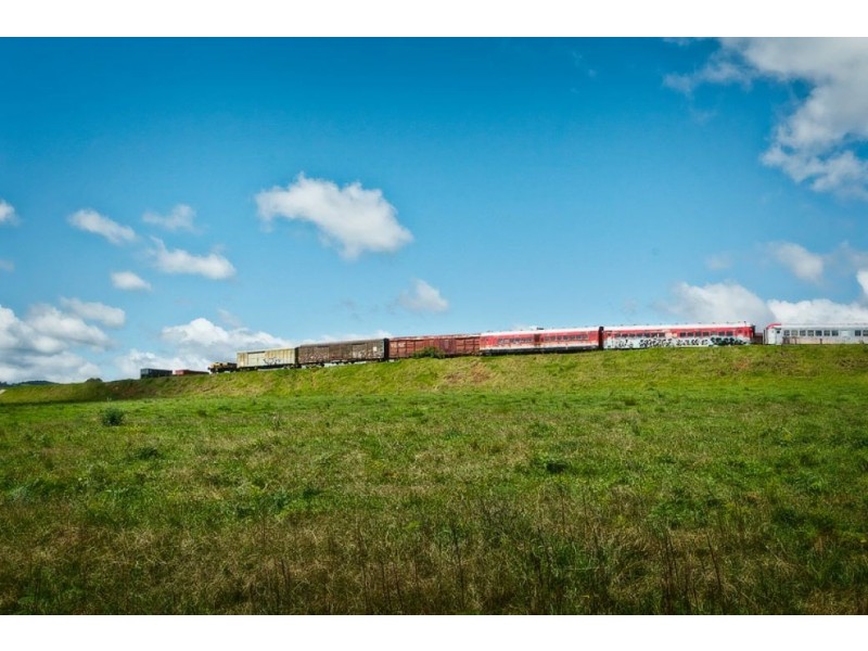 9 Elm Avenue, Dorrigo NSW 2453