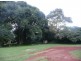 3926 Waterfall Way, Dorrigo NSW 2453