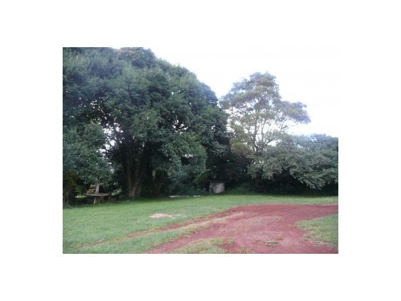 3926 Waterfall Way, Dorrigo NSW 2453