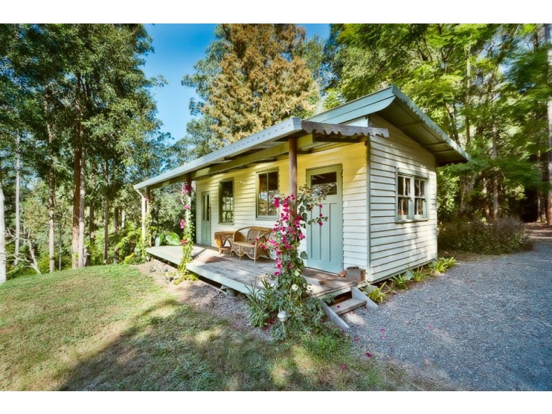 1159 Darkwood Rd, Thora, Bellingen NSW 2454