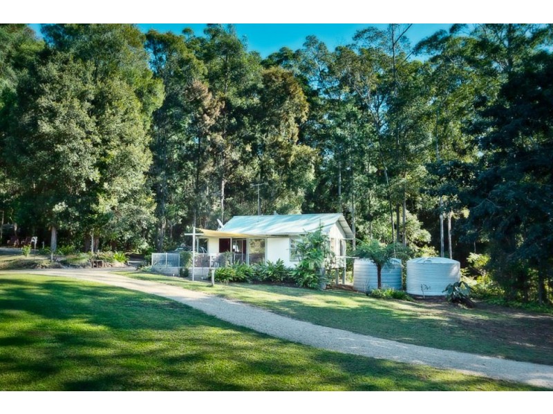 1159 Darkwood Rd, Thora, Bellingen NSW 2454