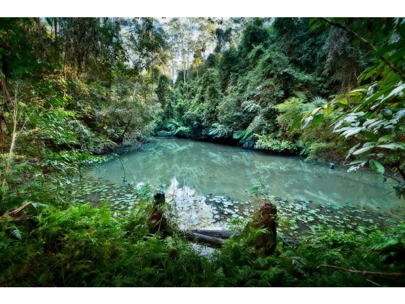 1159 Darkwood Rd, Thora, Bellingen NSW 2454