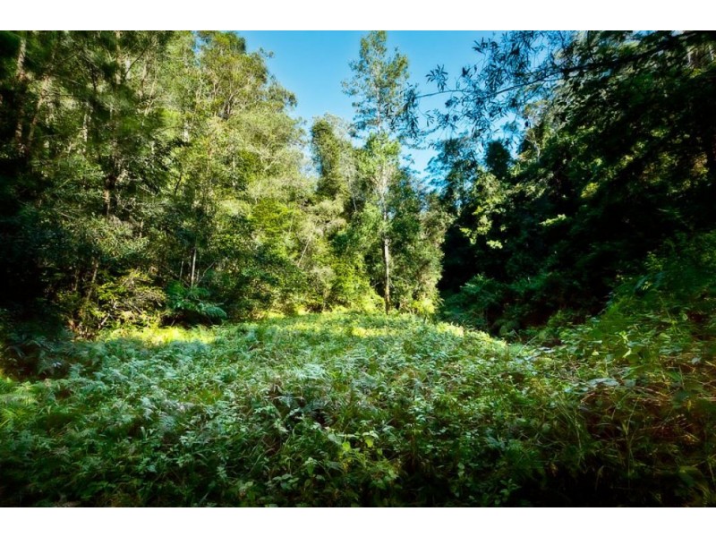 1159 Darkwood Rd, Thora, Bellingen NSW 2454