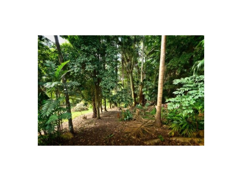 26 Hill St, Bellingen NSW 2454