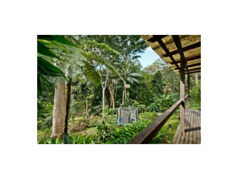 26 Hill St, Bellingen NSW 2454