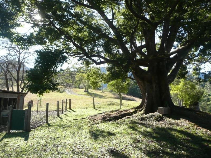 930 Promised Land Road, Gleniffer NSW 2454