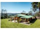 1225 Lower Bielsdown Rd, Dorrigo NSW 2453