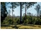 1225 Lower Bielsdown Rd, Dorrigo NSW 2453