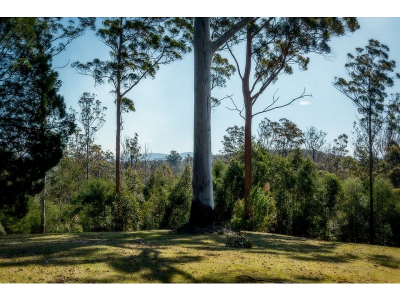 1225 Lower Bielsdown Rd, Dorrigo NSW 2453
