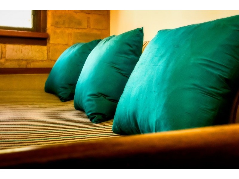 1225 Lower Bielsdown Rd, Dorrigo NSW 2453