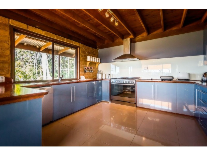 1225 Lower Bielsdown Rd, Dorrigo NSW 2453