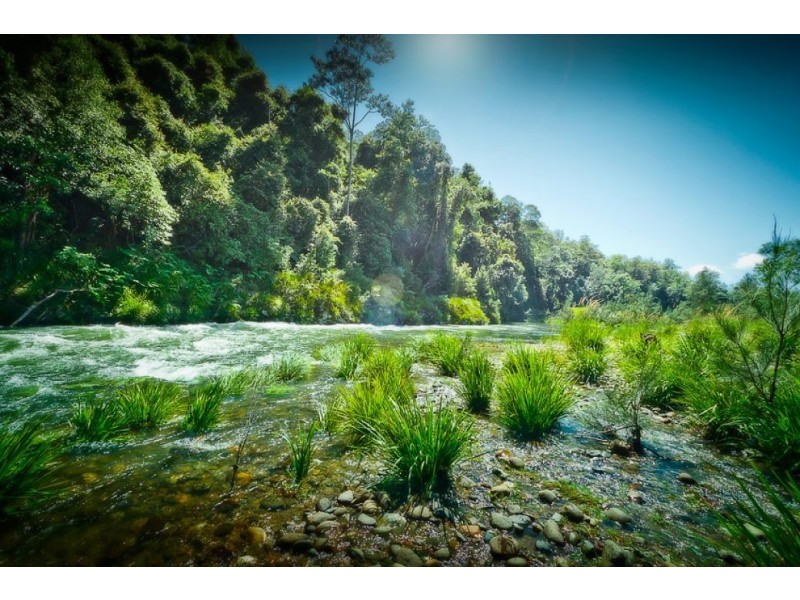 1462 Darkwood Road, Thora, Bellingen NSW 2454