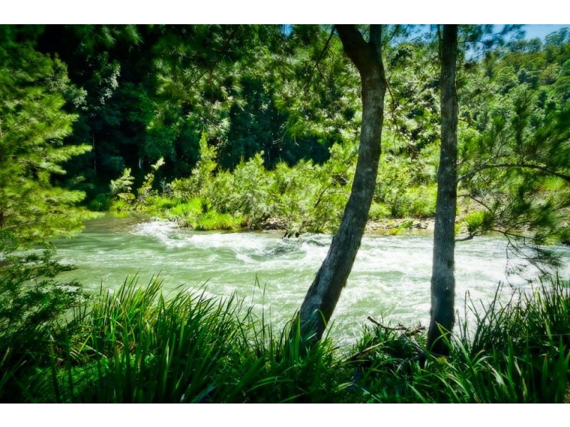 1462 Darkwood Road, Thora, Bellingen NSW 2454