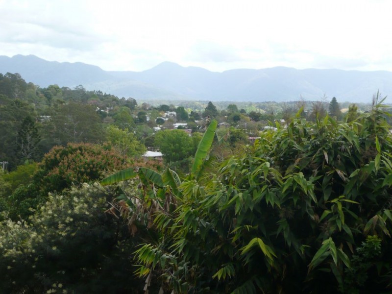 13 Ford St, Bellingen NSW 2454