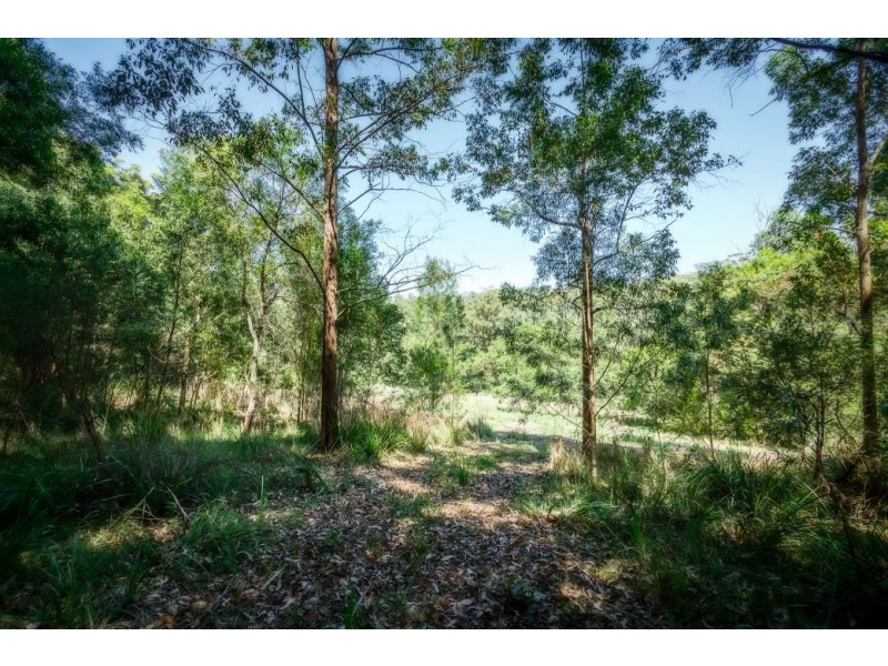 239 Wiriri Rd, Billy’s Creek, Dorrigo NSW 2453