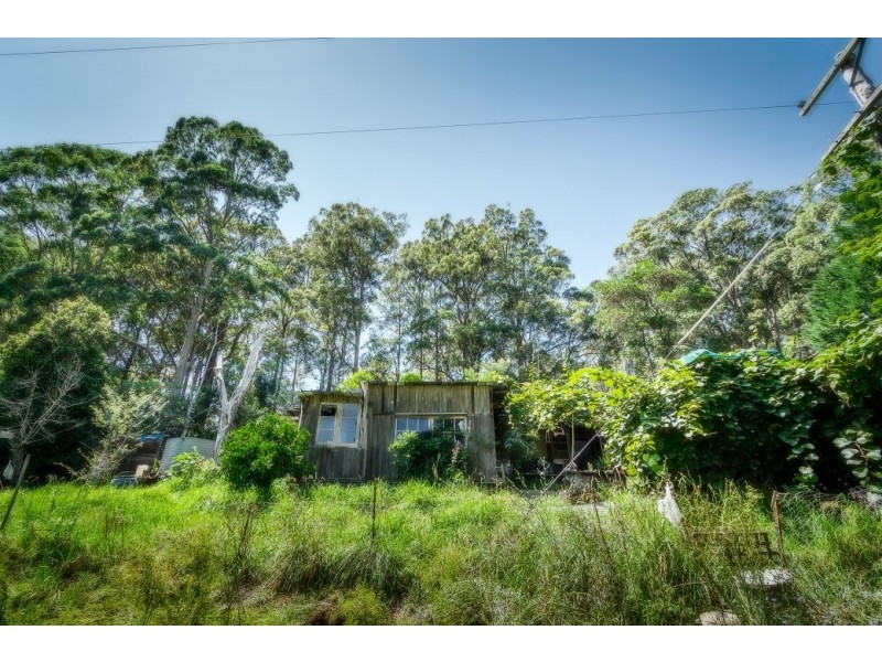 239 Wiriri Rd, Billy’s Creek, Dorrigo NSW 2453