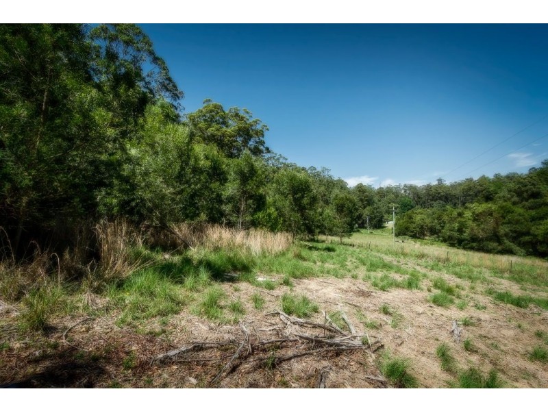 239 Wiriri Rd, Billy’s Creek, Dorrigo NSW 2453