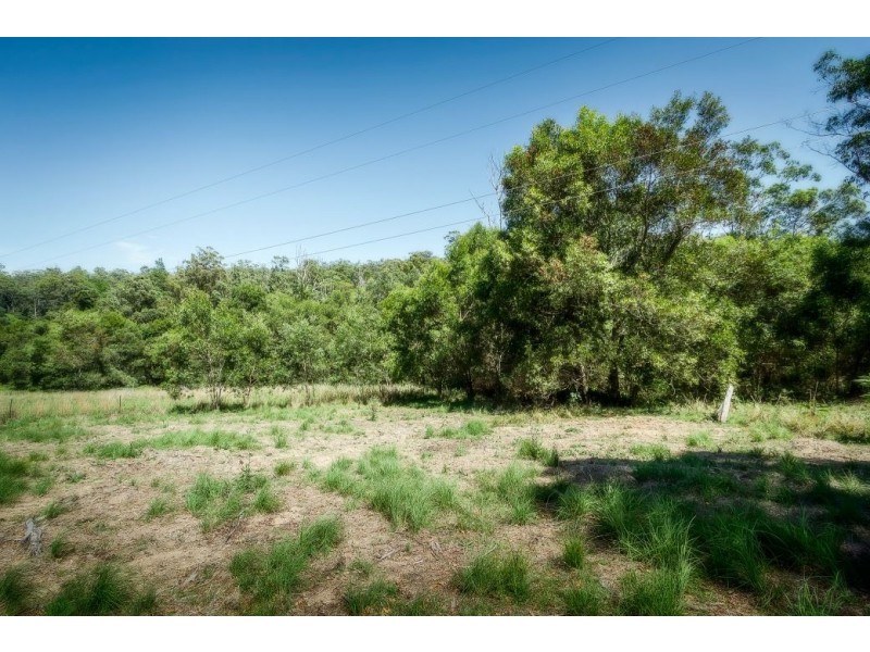 239 Wiriri Rd, Billy’s Creek, Dorrigo NSW 2453