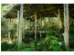 239 Wiriri Rd, Billy’s Creek, Dorrigo NSW 2453